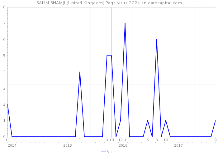 SALIM BHAMJI (United Kingdom) Page visits 2024 