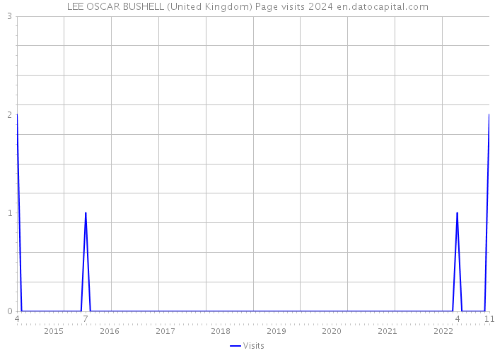 LEE OSCAR BUSHELL (United Kingdom) Page visits 2024 