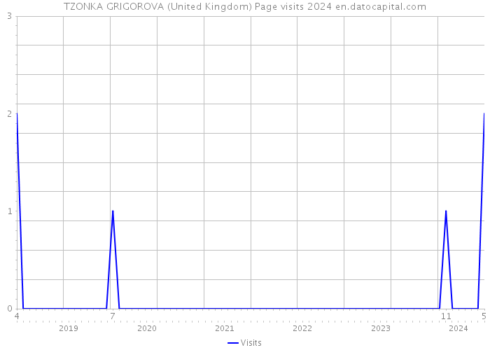 TZONKA GRIGOROVA (United Kingdom) Page visits 2024 