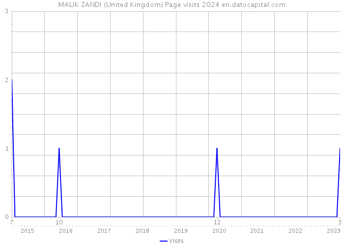 MALIK ZANDI (United Kingdom) Page visits 2024 