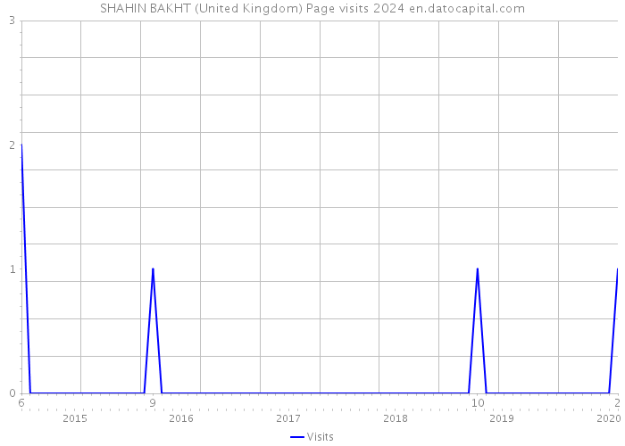 SHAHIN BAKHT (United Kingdom) Page visits 2024 