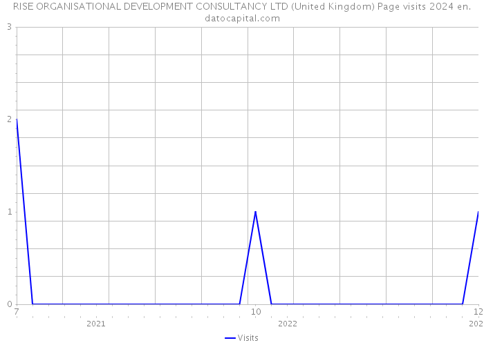 RISE ORGANISATIONAL DEVELOPMENT CONSULTANCY LTD (United Kingdom) Page visits 2024 