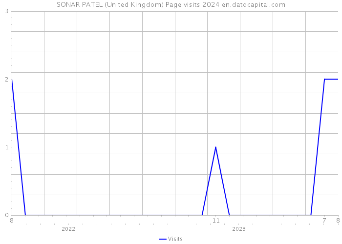 SONAR PATEL (United Kingdom) Page visits 2024 