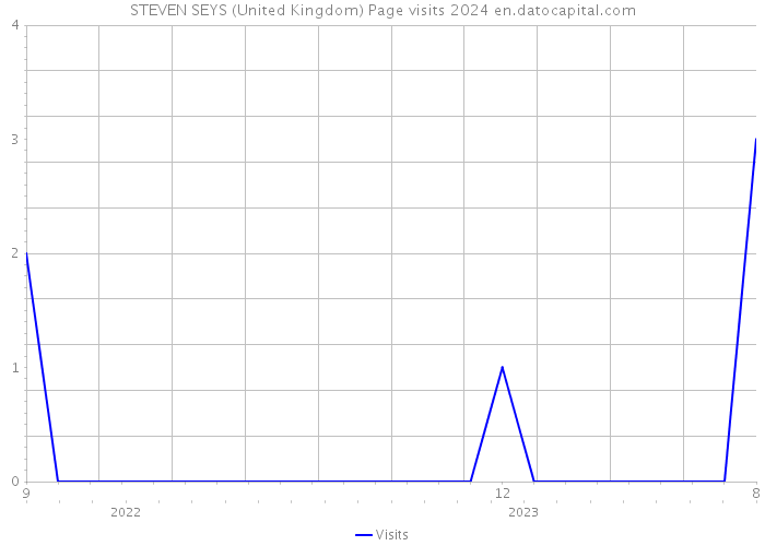 STEVEN SEYS (United Kingdom) Page visits 2024 