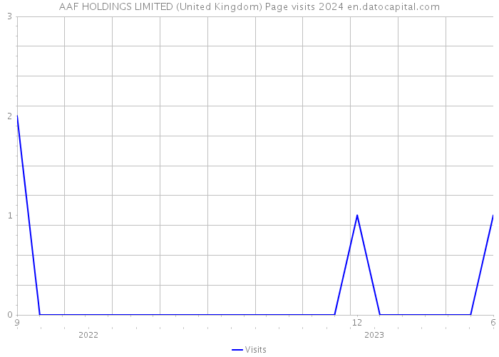 AAF HOLDINGS LIMITED (United Kingdom) Page visits 2024 