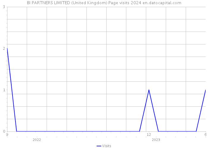 BI PARTNERS LIMITED (United Kingdom) Page visits 2024 