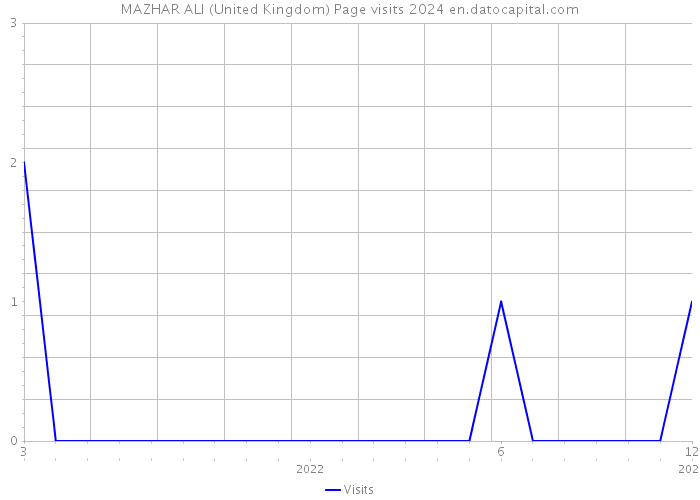 MAZHAR ALI (United Kingdom) Page visits 2024 