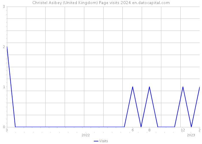 Christel Asibey (United Kingdom) Page visits 2024 