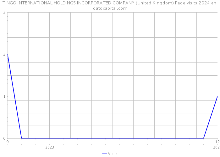 TINGO INTERNATIONAL HOLDINGS INCORPORATED COMPANY (United Kingdom) Page visits 2024 