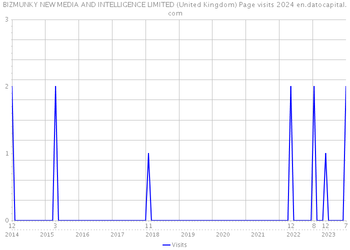 BIZMUNKY NEW MEDIA AND INTELLIGENCE LIMITED (United Kingdom) Page visits 2024 