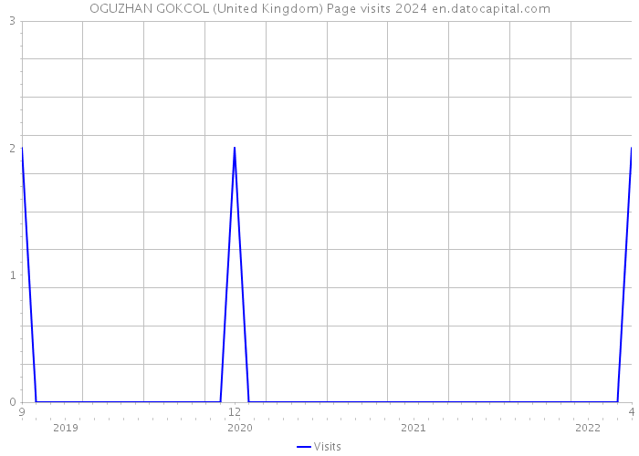 OGUZHAN GOKCOL (United Kingdom) Page visits 2024 