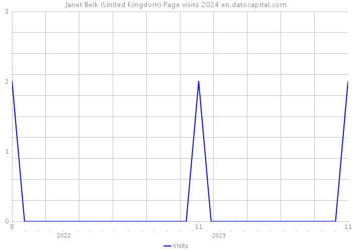 Janet Belk (United Kingdom) Page visits 2024 