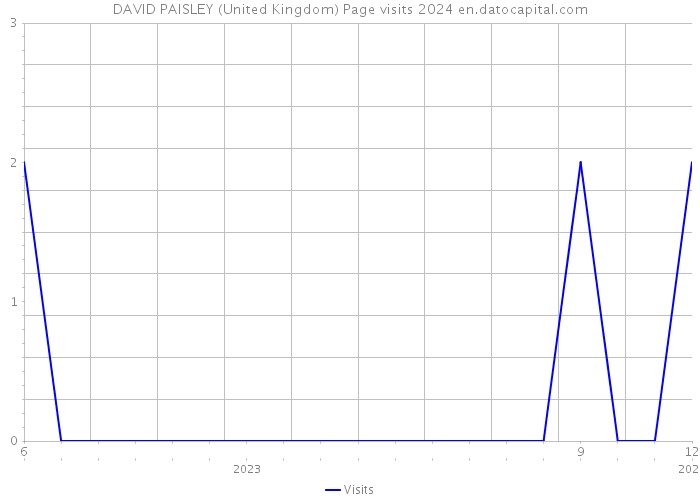 DAVID PAISLEY (United Kingdom) Page visits 2024 