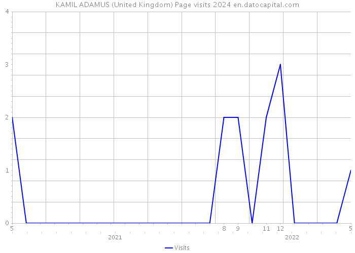 KAMIL ADAMUS (United Kingdom) Page visits 2024 