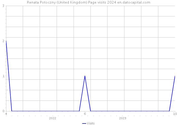 Renata Potoczny (United Kingdom) Page visits 2024 