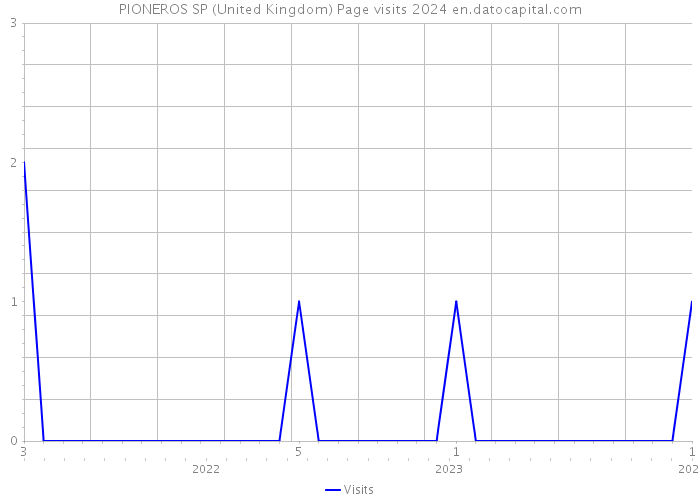 PIONEROS SP (United Kingdom) Page visits 2024 