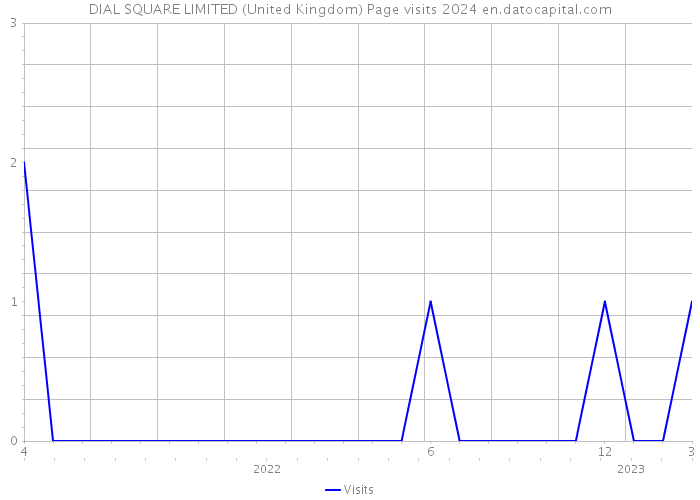 DIAL SQUARE LIMITED (United Kingdom) Page visits 2024 