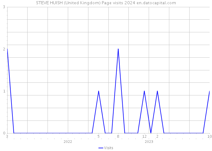 STEVE HUISH (United Kingdom) Page visits 2024 