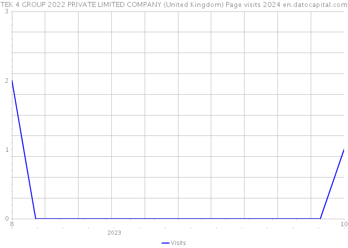 TEK 4 GROUP 2022 PRIVATE LIMITED COMPANY (United Kingdom) Page visits 2024 