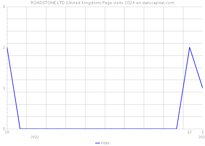 ROADSTONE LTD (United Kingdom) Page visits 2024 