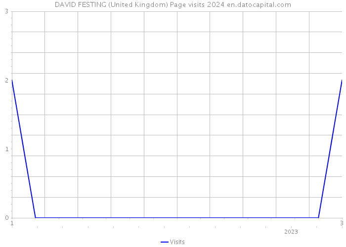 DAVID FESTING (United Kingdom) Page visits 2024 