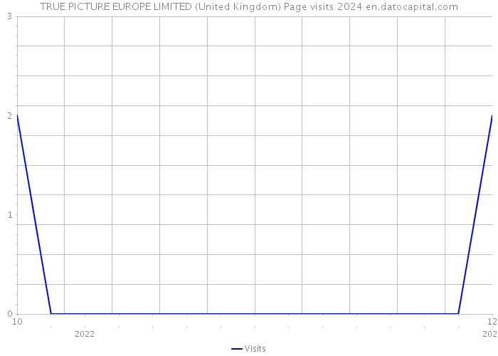 TRUE PICTURE EUROPE LIMITED (United Kingdom) Page visits 2024 