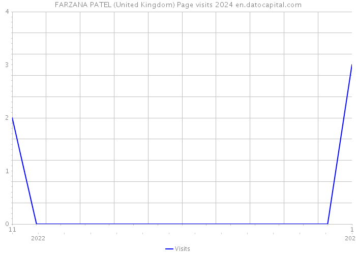 FARZANA PATEL (United Kingdom) Page visits 2024 