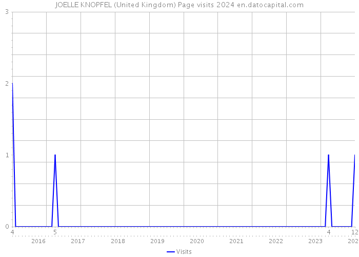 JOELLE KNOPFEL (United Kingdom) Page visits 2024 