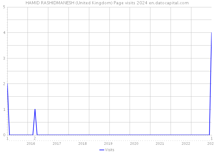 HAMID RASHIDMANESH (United Kingdom) Page visits 2024 