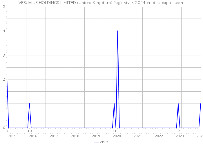 VESUVIUS HOLDINGS LIMITED (United Kingdom) Page visits 2024 