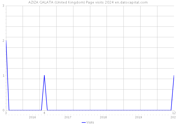 AZIZA GALATA (United Kingdom) Page visits 2024 