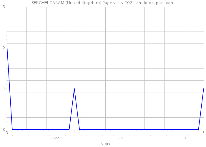 SERGHEI GARAM (United Kingdom) Page visits 2024 