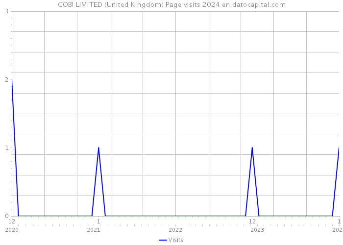 COBI LIMITED (United Kingdom) Page visits 2024 