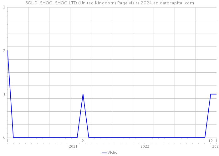 BOUDI SHOO-SHOO LTD (United Kingdom) Page visits 2024 