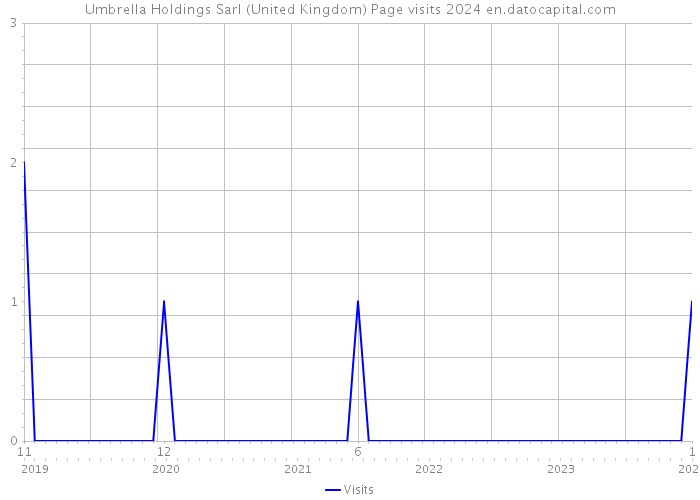 Umbrella Holdings Sarl (United Kingdom) Page visits 2024 