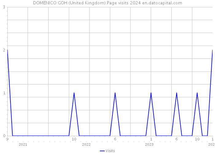 DOMENICO GOH (United Kingdom) Page visits 2024 