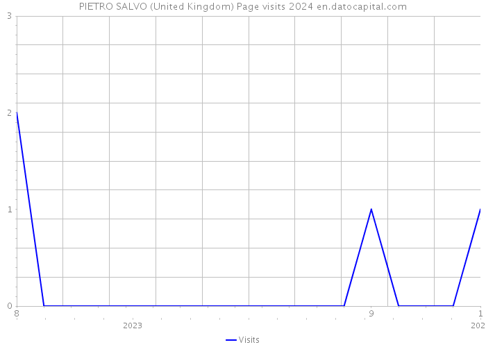 PIETRO SALVO (United Kingdom) Page visits 2024 