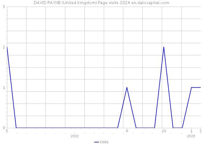 DAVID PAYNE (United Kingdom) Page visits 2024 