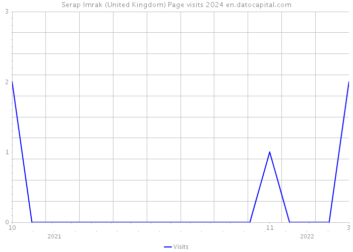 Serap Imrak (United Kingdom) Page visits 2024 