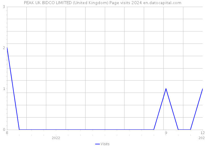 PEAK UK BIDCO LIMITED (United Kingdom) Page visits 2024 