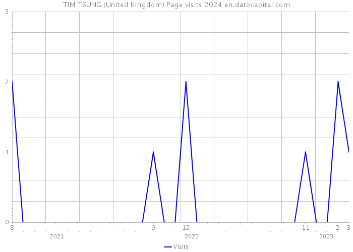 TIM TSUNG (United Kingdom) Page visits 2024 