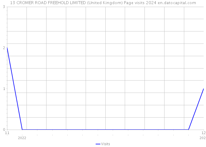 13 CROMER ROAD FREEHOLD LIMITED (United Kingdom) Page visits 2024 