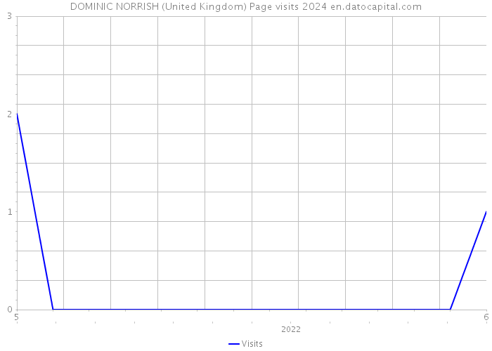 DOMINIC NORRISH (United Kingdom) Page visits 2024 