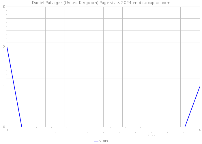 Daniel Palsager (United Kingdom) Page visits 2024 
