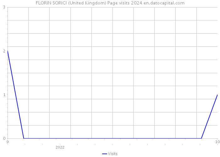 FLORIN SORICI (United Kingdom) Page visits 2024 
