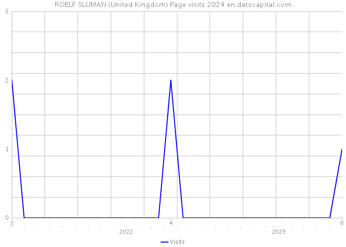 ROELF SLUMAN (United Kingdom) Page visits 2024 