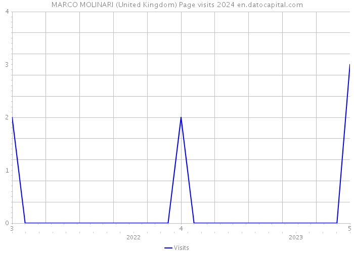 MARCO MOLINARI (United Kingdom) Page visits 2024 