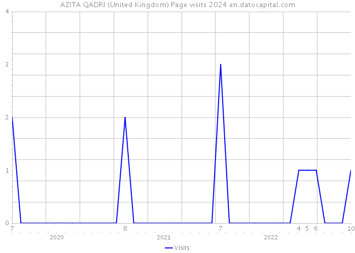 AZITA QADRI (United Kingdom) Page visits 2024 