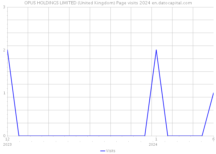 OPUS HOLDINGS LIMITED (United Kingdom) Page visits 2024 