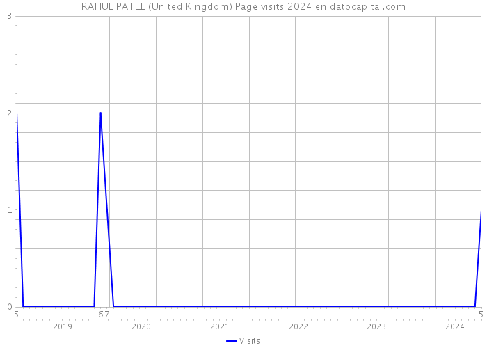 RAHUL PATEL (United Kingdom) Page visits 2024 
